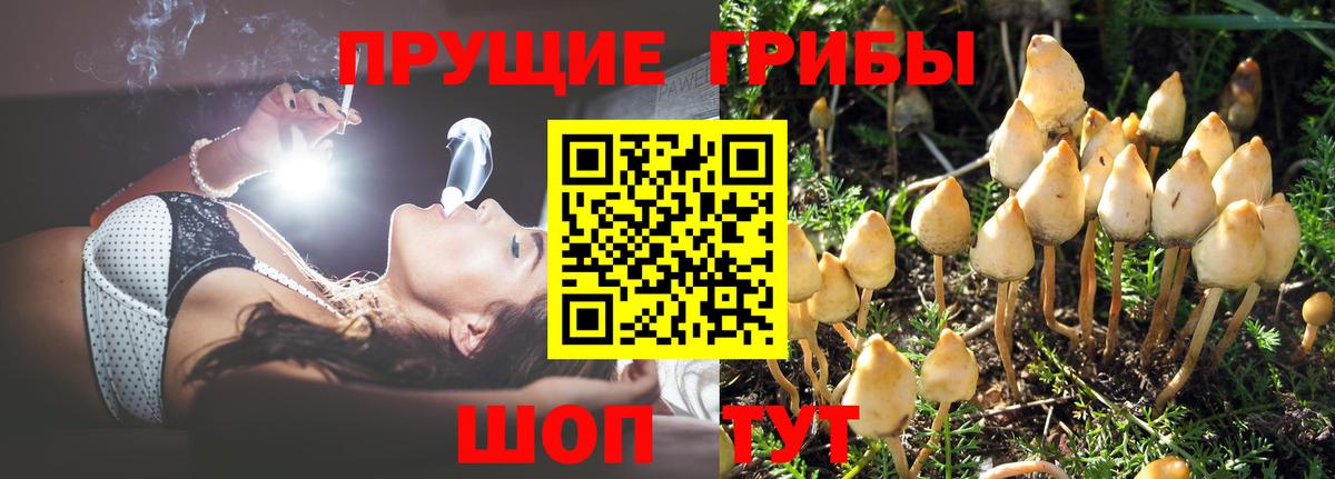 Галлюциногенные грибы Psilocybe  Вход с VPN  Псилоцибиновые грибы ЛСД  даркнет сайт  Краснокаменск 